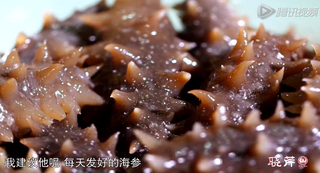 海參進補從娃娃抓起，兒童吃海參的好處！