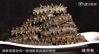 孝敬父母，為何首選海參？