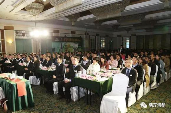 曉芹,大商新瑪特,大連海參,曉芹海參,招商 曉芹,大商新瑪特,大連海參,曉芹海參,招商