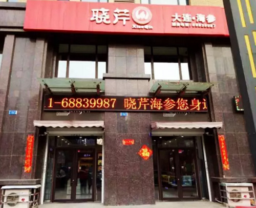 曉芹,海參,大連海參,遼寧海參,公益 曉芹,海參,大連海參,遼寧海參,公益