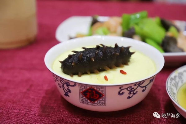 海參,大連海參,曉芹海參,抗擊疫情,疫情,菜譜,安全健康.jpg 海參,大連海參,曉芹海參,抗擊疫情,疫情,菜譜,安全健康.jpg