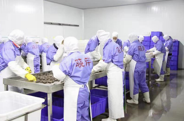 曉芹海參,315,海參,大連海參,誠信.png 曉芹海參,315,海參,大連海參,誠信.png