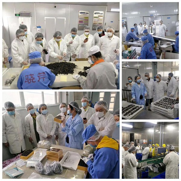 大連海參,曉芹海參,海參,食品協(xié)會,食品,考察.jpg 大連海參,曉芹海參,海參,食品協(xié)會,食品,考察.jpg