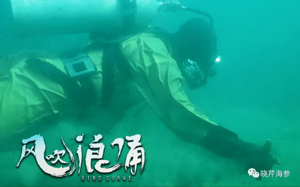 電影,風吹浪涌,創(chuàng)業(yè),大連海參,曉芹海參,海參.jpg 電影,風吹浪涌,創(chuàng)業(yè),大連海參,曉芹海參,海參.jpg