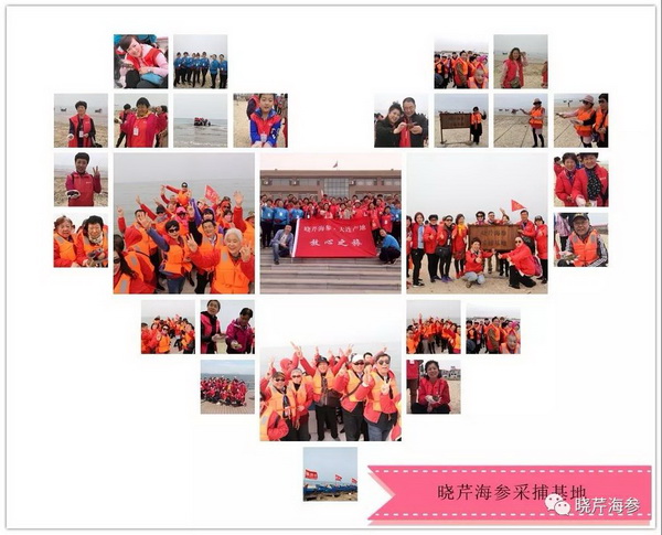 315,大連海參,曉芹海參,海參,海參質(zhì)量,海參源產(chǎn)地.jpg 315,大連海參,曉芹海參,海參,海參質(zhì)量,海參源產(chǎn)地.jpg